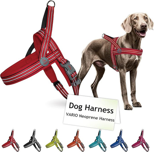 DOCO No-Pull Dog Harness Halter Reflective Easy-Control Harness for Training, Walking, and Preventing Pulling, Ideal for Medium Dogs(Red)