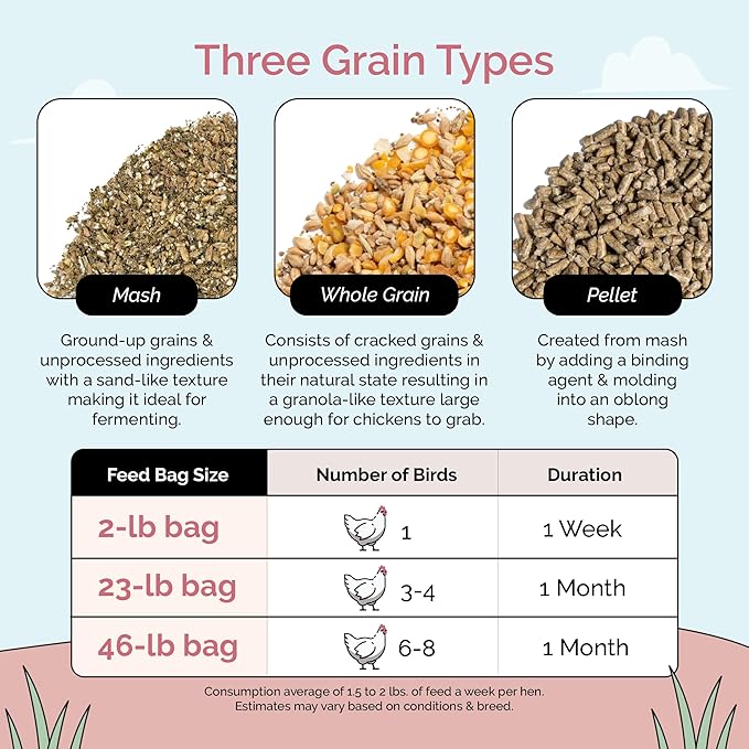 Organic Chicken Feed – Layer Mash, Non-GMO, USA Grown, 16% Protein, Corn-Free, Soy-Free, Non-Medicated Feed for Chickens, 23 lbs