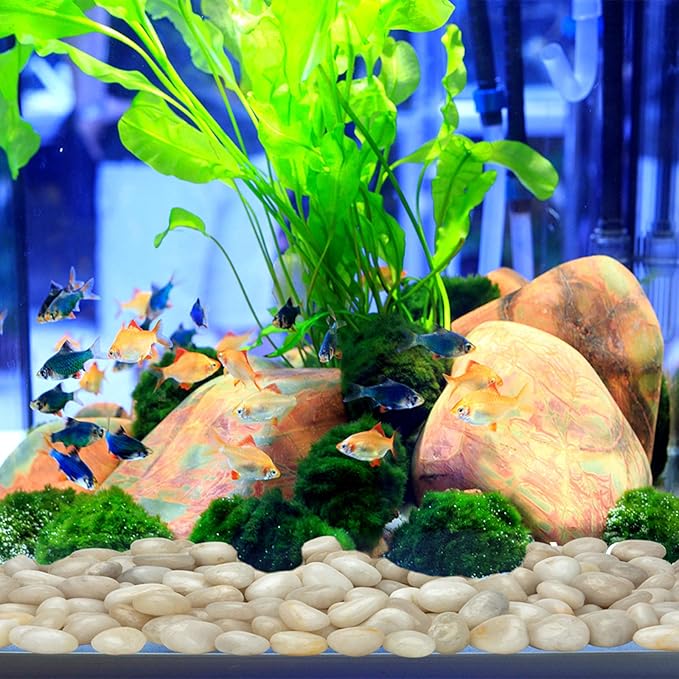 Mr. Fireglass 5lb White River Rocks, 3/8 inch Natural Decorative Polished Pebbles Aquarium Gravel Stones for Landscaping, Indoor Plants, Vase, Succulent, Fish Tank