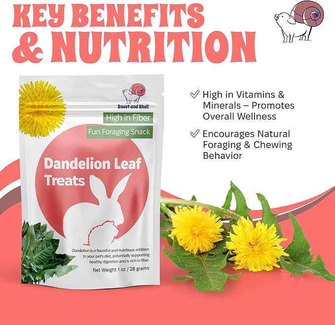 Snout and Shell Dandelion Leaf Treat for Small Pets – 1 oz (28g) | High-Fiber, Natural Foraging Snack for Rabbits, Guinea Pigs, Chinchillas, Squirrels & More