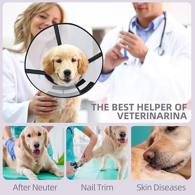 Soft Dog Cone Suitable for Postoperative Use in Dogs, Adjustable and Comfortable Elizabeth Collar, Used for Wound Care, Sterilization, Suitable for Medium to Large Dogs (XL)