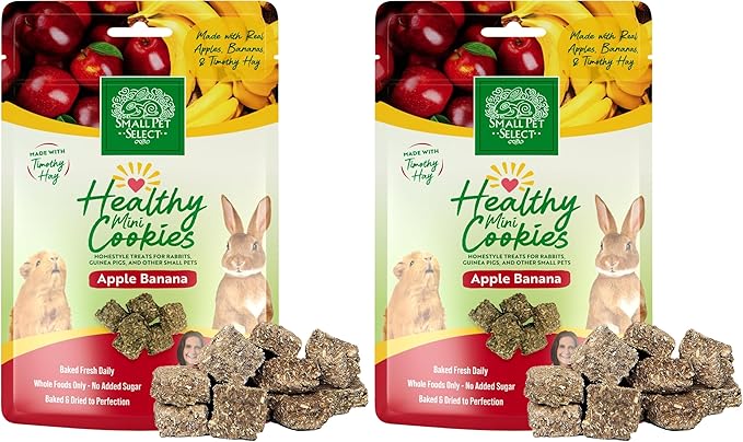 Small Pet Select Healthy Snackers Mini Cookies- Apple Banana, 2 oz (Pack of 2)