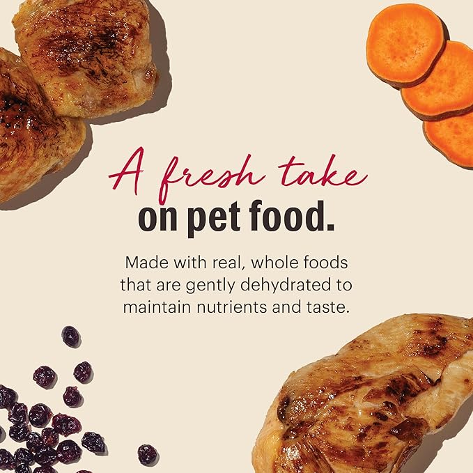 The Honest Kitchen Dehydrated Grain Free Chicken Cat Food, 2 lb Box