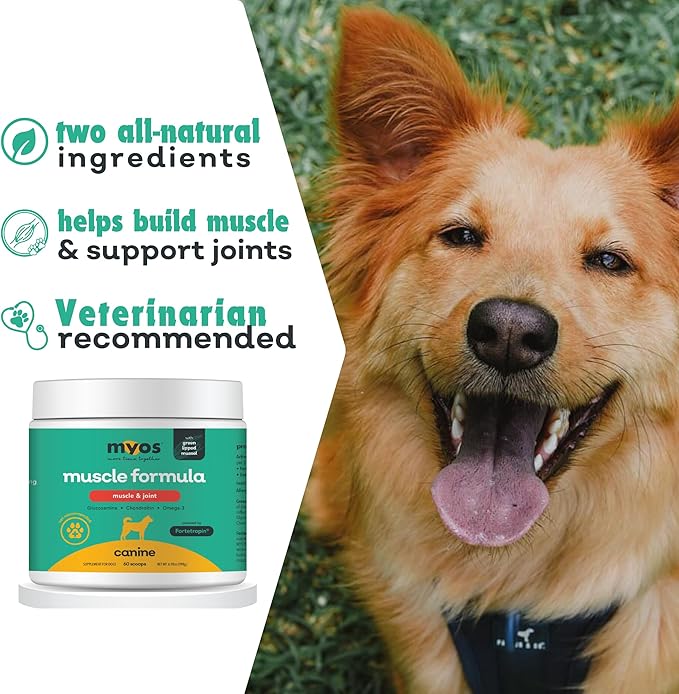 MYOS Muscle & Joint Powered by Fortetropin with Green Lipped Mussel (198 gr)