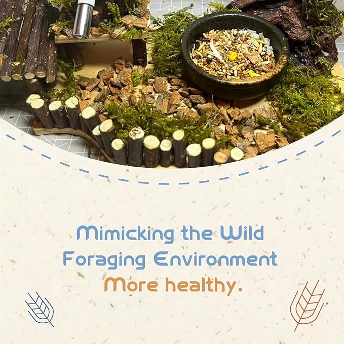 Garden Fruit & Vegetable Hamster Food Mix Natural Small Pet Food Made for Hamsters 1LB Critical Care Healthy Dwarf Hamsters Feed New Packaging