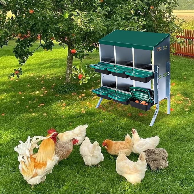 Chicken Nesting Box, 6 Hole 2 Layer Hen Nest Boxes with Legs, Roll Away Eggs Laying Boxes,Cleanable Pull Out Hen Roosting Boxes
