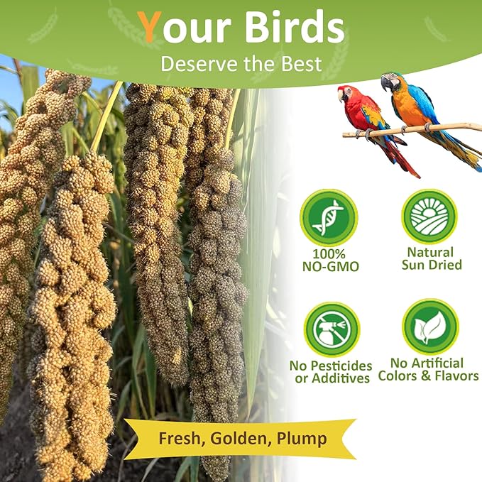 Spray Millet for Birds 5LB - All Natural Sun-Dried Healthy Treat, Millet Spray for Parakeets, Parrots, Lovebirds, Cockatiels Food, 100% Non-GMO High Protein Fresh Bird Seed