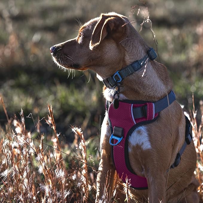 Embark Adventure Dog Harness, Reflective Trim No Pull Dog Harness Medium Sized Dogs - Military Grade Nylon, Front Clip with Gel Lined Handle.