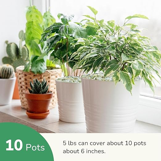 GreatBuddy 5-lb Decorative Rocks for Indoor Plants, 3/8" Jade Pebbles for Planters, Gravel for Succulent, Vases, Bamboo, Garden Landscaping, Crafts, Aquariums, Natural Polished