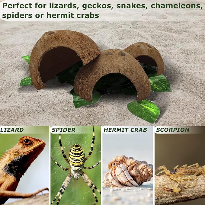 Hamiledyi Reptile Hideouts Natural Coconut Shells Hut Hermit Crab Climbing Toys Gecko Hide Cave Lizard Habitat Decor Plant Leaves Decoration for Spider Snake Chameleon (4Pcs)