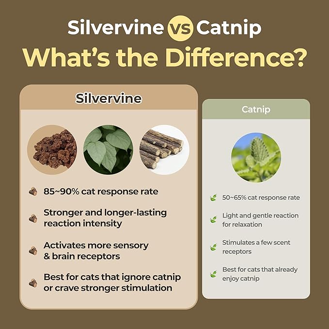 JAYU PET Active MATA Spray – 100% Natural Silvervine Spray for Cats, Liquid Catnip Alternative, Calming Spray for Indoor Kittens, Boosts Play & Engagement, Reduces Stress (1 fl oz)