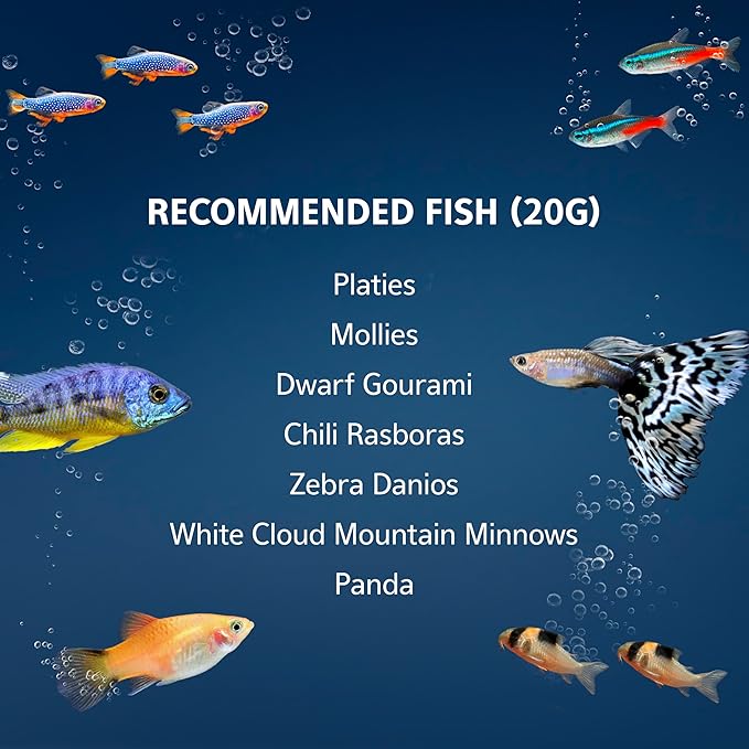 Aqueon 20 Gallon Aquarium Starter Kit with SmartClean Filtration and LED Lighting for Tropical Freshwater Fish