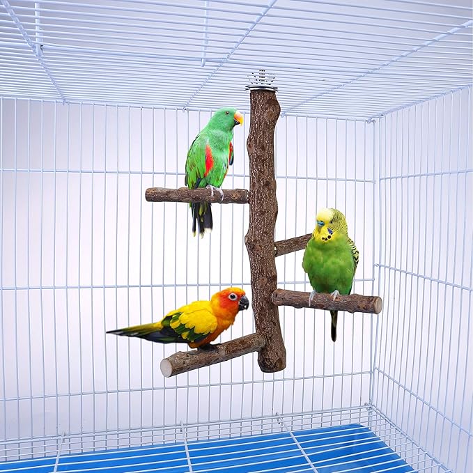 Bird Perch Stand Toy, Natural Wood Parrot Perch Bird Cage Branch Perch Accessories for Parakeets Cockatiels Conures Macaws Finches Love Birds(L: 13.8" Length)