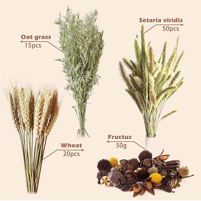 Natural Ear of Grain Flower&Herb Bedding Mate Habitat Decor, Adding Fun Hamster Accessories for Hamsters Gerbils Lemming