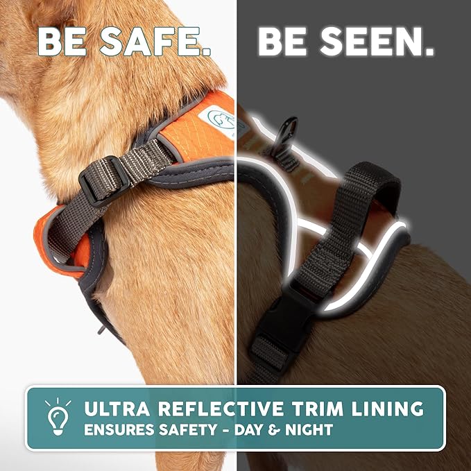 Embark Adventure Dog Harness, Reflective Trim No Pull Dog Harness for Large Dogs - Military Grade Nylon, Front Clip with Gel Lined Handle.