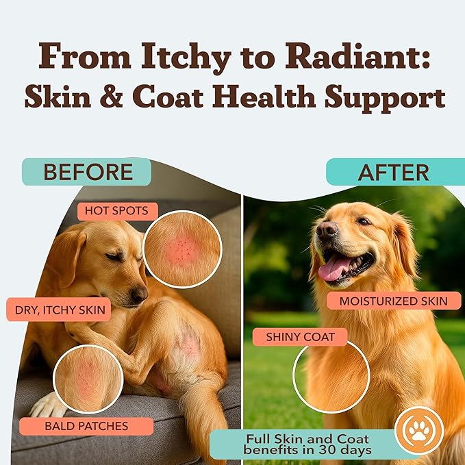 Natural Dog Company Skin & Coat Supplement for Dogs Omega-3 Rich Salmon Oil Chews for Itchy Skin Relief, Shedding & Allergy Support, Shiny Coat Health, with Biotin, Vitamin E, Grain-Free (90 Count)