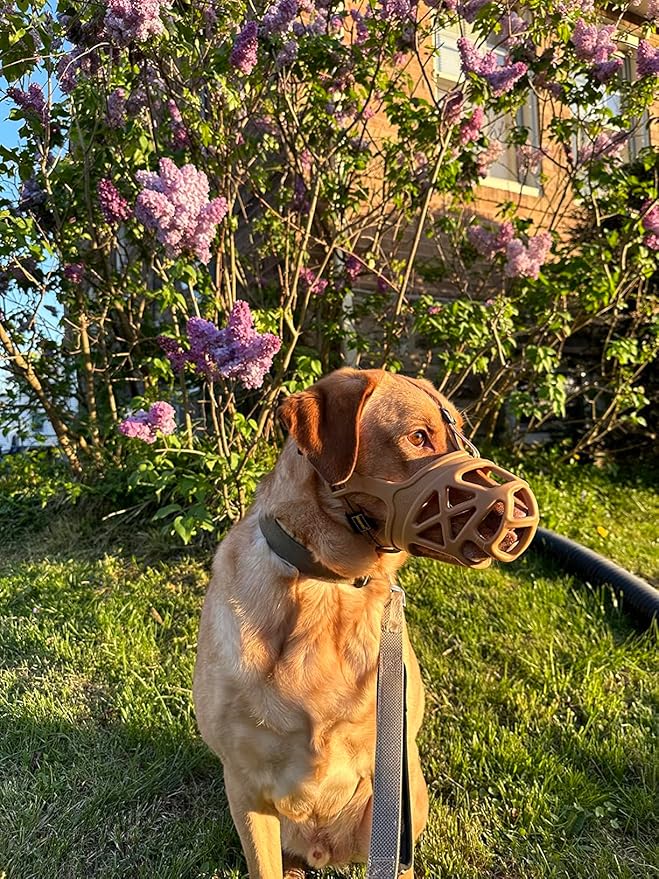 Mayerzon Dog Muzzle, Breathable Basket Muzzles for Small, Medium, Large and X-Large Aggressive Dogs Beagle German Shepherd Doberman, Cage Mouth Guard Stop Biting Chewing for Grooming Training