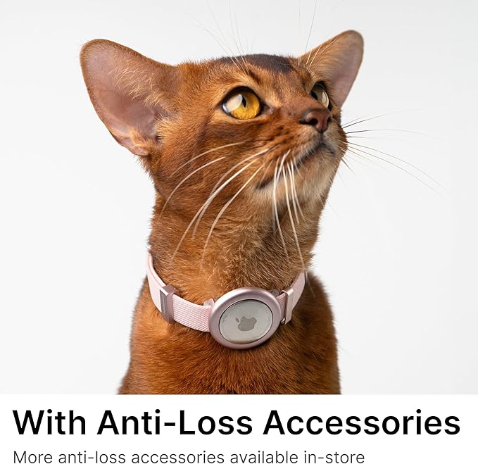 Safety Cat Collar Pro - U.S. IDA Gold Awarding Design, Elastic Quick Release Cat Collar with Buckle Non Breakaway - Lightweight for Kitten All Small Large Cats (Vivid Red, M 7.9-15.7")