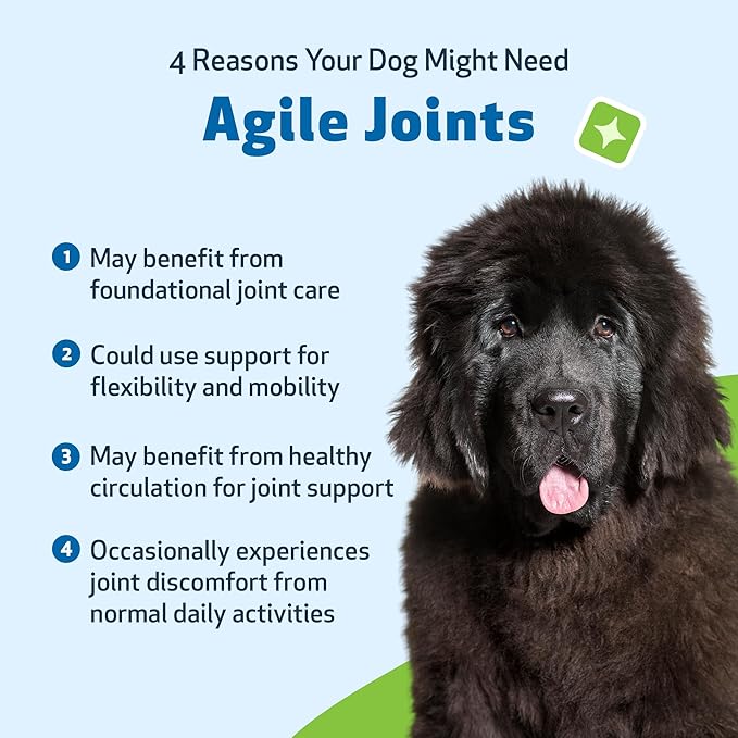 Pet Wellbeing Agile Joints for Dogs - Hip and Joint Health, Mobility, Devil’s Claw, Boswellia, Joint Ligament and Cartilage - Veterinarian-Formulated Herbal Supplement 2 oz (59 ml)