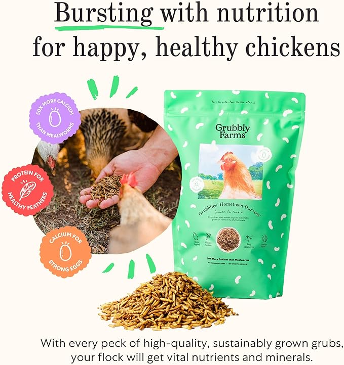 Grubblies - Black Soldier Fly Larvae for Chickens - Chicken Treats Grown in The US and Canada - for Strong Eggshells and Healthy Feathers - Grubblies Hometown Harvest 1LB