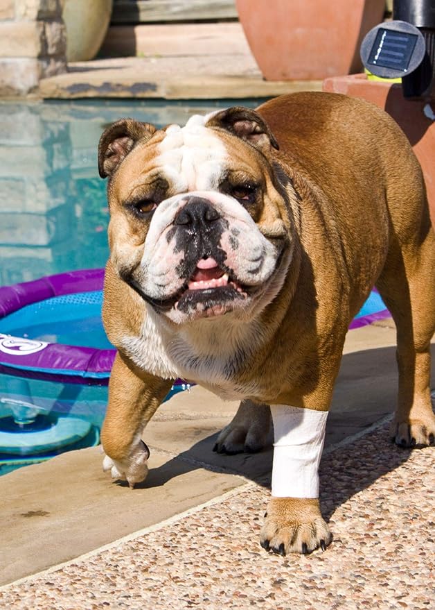 Protective Sleeve Tubular Cover - Bandages - for Dogs Cats and Other Pets First Aid Wound Care Comfortable Non-Adhesive Breathable & Water Resistant 18 Strips (yields 36-54 Covers)-(Small)