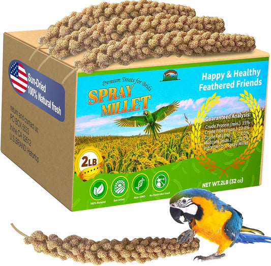 2LB Millet Spray for Birds Parakeets Treats - All Natural Sun-Dried Spray Millet for Parakeets, Cockatiel, Budgie, Finches, Parrots, Hamster, 100% Non GMO Dried Fresh Bird Seed