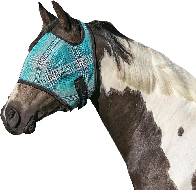 Kensington Fly Mask Web Trim Protects Horses Face and Eyes from Bites and Sun Rays While Allowing Full Visibility Ears and Forelock Able to Come Through The Mask, Small, Atlantis