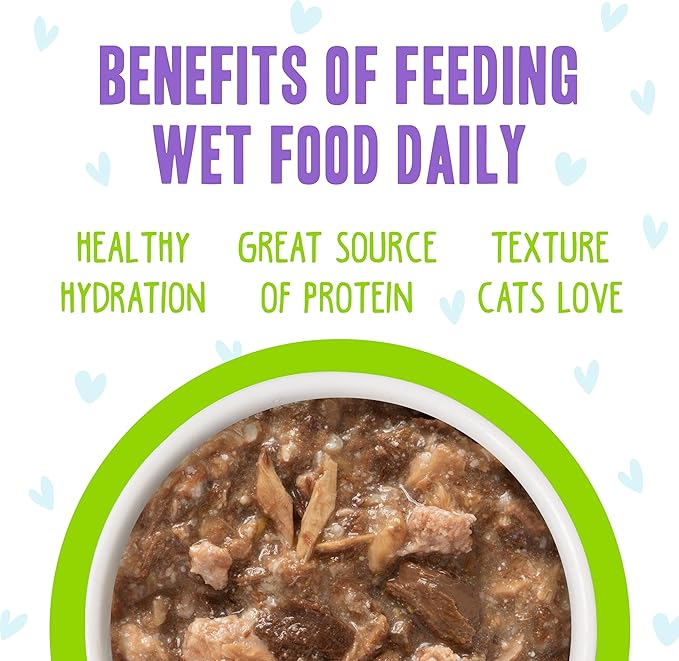 Weruva B.F.F. OMG - Best Feline Friend Oh My Gravy!, Shazaam! with Lamb & Tuna in Gravy Cat Food, 2.8oz Pouch (Pack of 12)