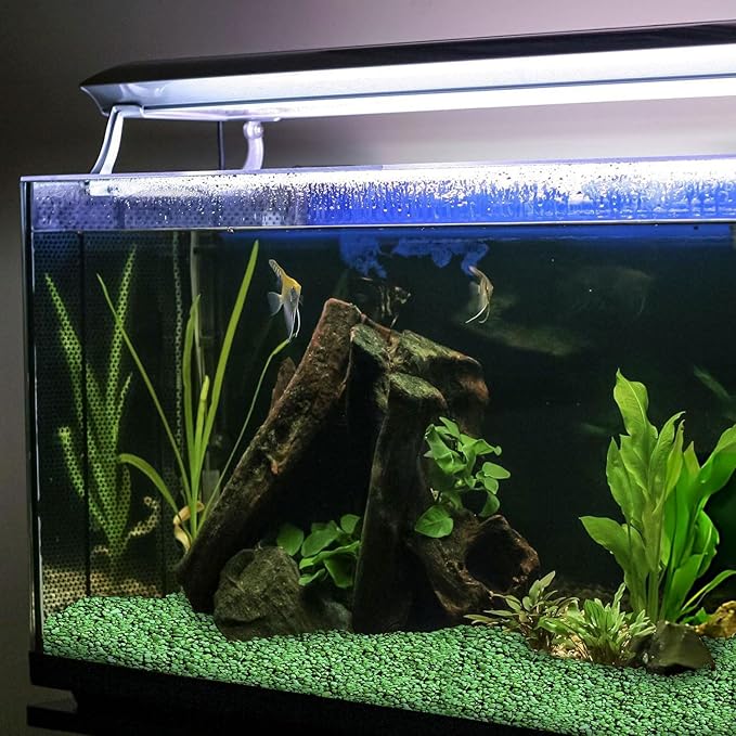 Hygloss Products Craft Rocks, Mini Stones For Art Projects - Bucket O' Gravel, Green, 1 lb