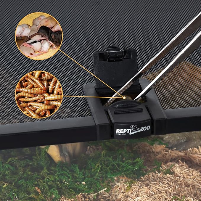 REPTIZOO Small Reptile Tank 20" x 12" x 6" Glass Reptile Terrarium with Top Feeding Habitat for Snake Spider