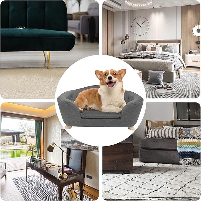 SHAVI Pet Sofa Dog Couch for Small Pet Dog and Cats, Low Back Lounging Bed with Velvet Modern Cat Couch Easy-to-Clean(Grey)