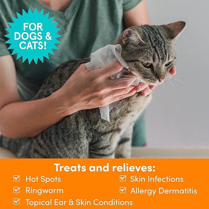 Nootie Medicated Dog Wipes - Antifungal Wipes - Antibacterial Wipes - Antimicrobial Wipes for Dogs 2% Chlorhexidine Wipes with 2% Micronazole for Best Results with Cats and Dogs Problems 60 pads - USA, White