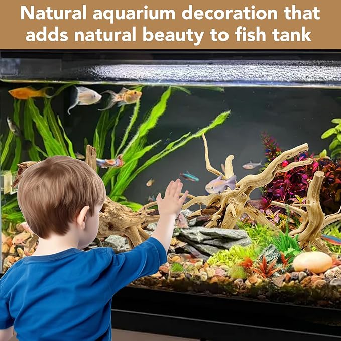 Natural Large Spiderwood Driftwood for Aquarium Decor Rptile Fish Tank Decoration Assort Branch 7-11'' 3 Pcs