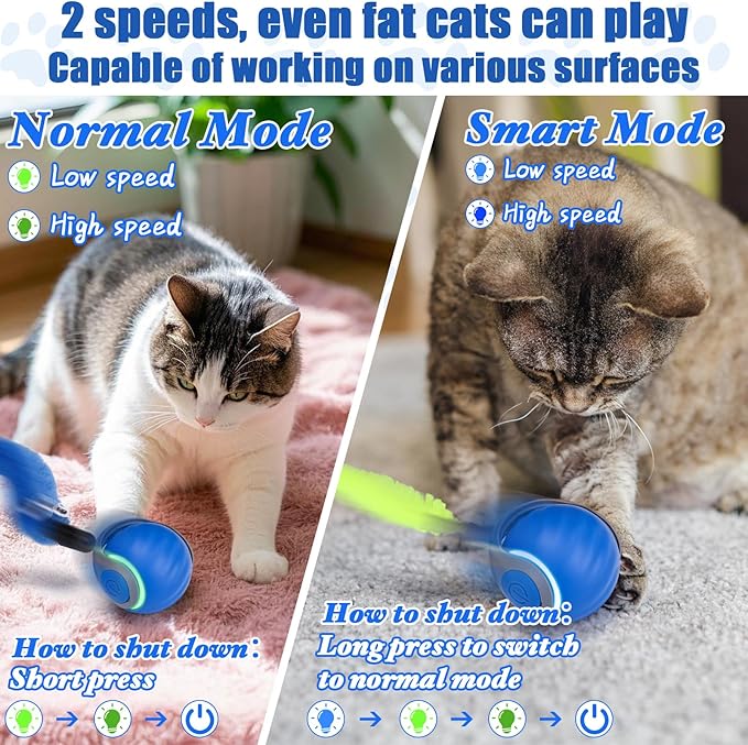 AIERSA Interactive Cat Toys for Indoor Adult Cats, Automatic Self-Play Cat Ball Toy for Kitten to Keep Them Busy, Electric Speed Tail Moving Cat Toy with 3 Tails and 4 Springs (Blue)