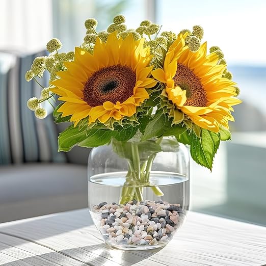 2.5 lbs Small Rocks for Succulents, 1/5 Inch Pebbles for Indoor Plants, Decorative Pea Gravel for Terrarium, Vases, Aquariums, Fish Tank, Drainage Rocks for Potted Plants, Bamboo,Crafts, Cactus