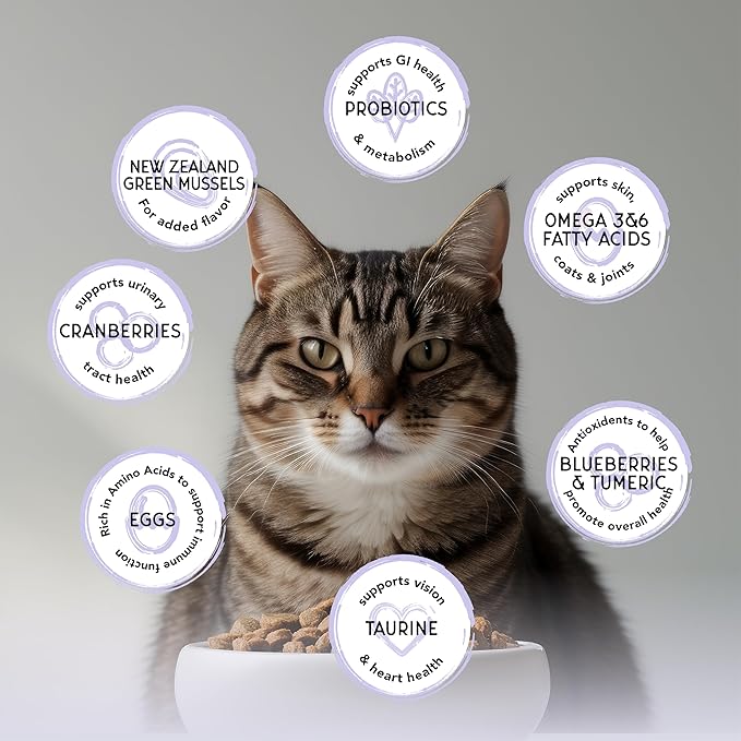 Blackwood Bounty Dry Cat Food, Cod & Carp Recipe for All Life Stages, 4.5 Pound Bag, High Protein, Grain Free