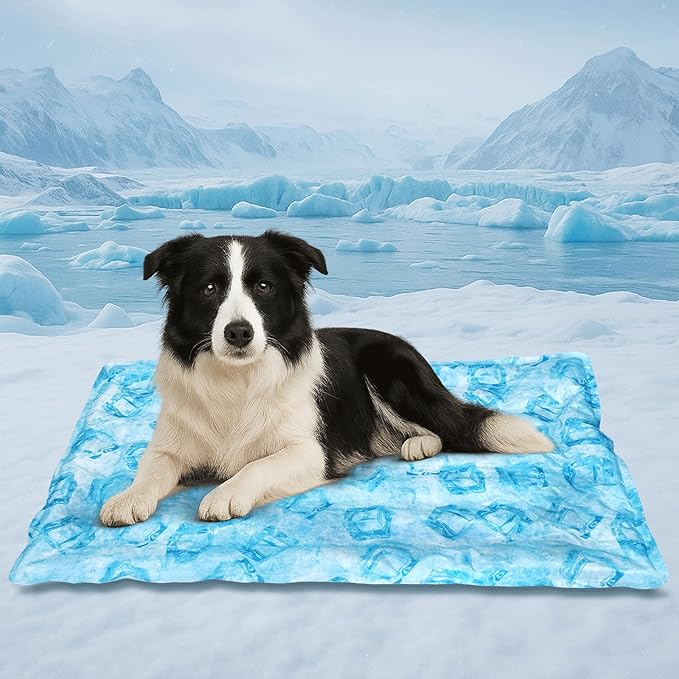 Cooling Pad for Large Dog,Instant Pet Cool Mat,Comfortable Cool Pet Mat for Cat.Portable Dog Bed for Summer. Suitable for Outdoor Summer Crate Pad.Long Time Cooling.Ice Brick(Size-L 19.7 * 23.6in)