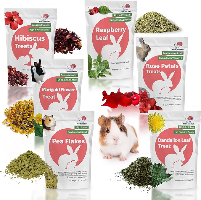 Snout and Shell Small Pet Mega Pack – 6 Natural Treats: Pea Flakes, Dandelion, Raspberry Leaf, Marigold, Rose Petals & Hibiscus – For Rabbits, Guinea Pigs, Chinchillas & More – Foraging & Health Boost