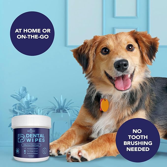 NOVEHA Pets Dental Finger Wipes for Dogs & Cats | Freshens Breath, Reduces Plaque | Healthier Gums | Clean Teeth No Toothbrush | Vet Recommended Effective Natural Oral Care (100 pcs, Flavor-Free)
