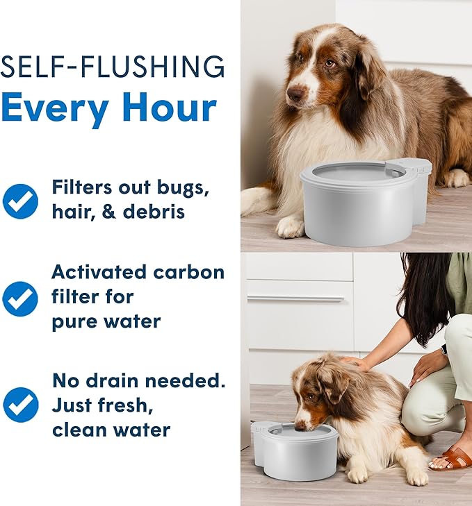 Always Full® 9" Pet Water Bowl and Wall Unit Bundle – Self-Refilling, Clean Filtered Water, Easy Home Connection, App-Enabled Hydration Tracking, Cat and Dog Water Bowls