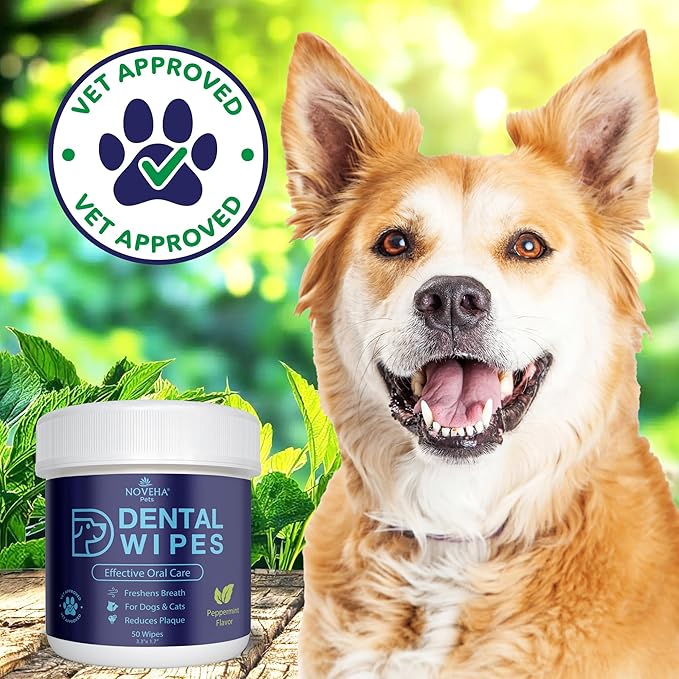 NOVEHA Pets Dental Finger Wipes for Dogs & Cats | Freshens Breath, Reduces Plaque | Healthier Gums | Clean Teeth No Toothbrush | Vet Recommended Effective Natural Oral Care (50 pcs, Mint)