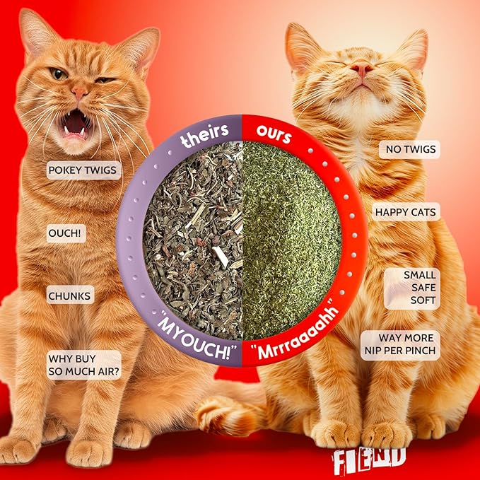 Fiend Catnip + Silvervine for Cats & Kittens Safety-Cut Premium Fine Cat Nip Blend with Vegan Silvervine + Sticker – Ultra Potent, North American – 1 Cup (34.5g) Go Ahead, Create a Monster!