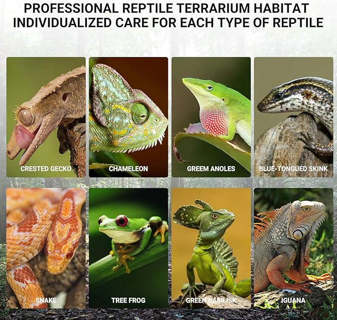 Oiibo 18" x 18" x 24" Glass Reptile Terrarium, Knock-Down Rainforest Reptile Habitat Tank with Front Opening Doors & Top Screen Ventilation, 30 Gallon Vertical Terrarium