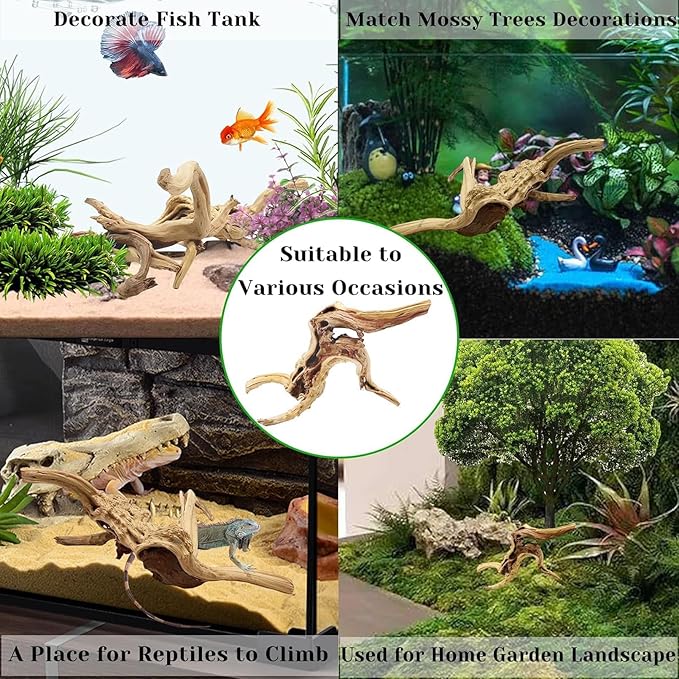 Tfwadmx Aquarium Driftwood, 7-11" Spider Wood Sinkable Driftwood for Fish Tank Decorations Natural Branches for Reptile, Assorted Spider Wood Branch Pack of 3