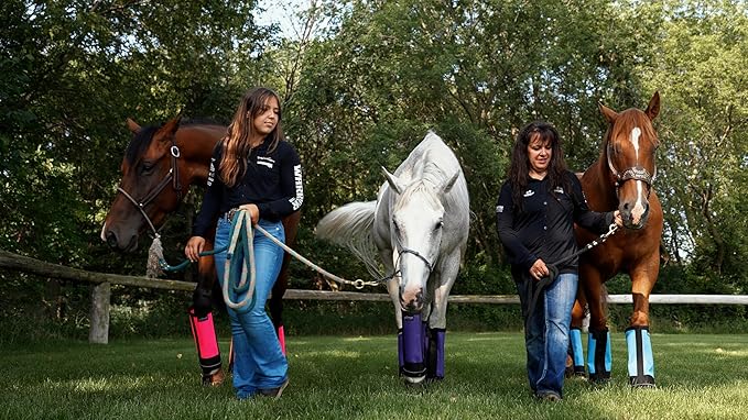 Warrior Fly Boots for Horses - Breathable Mesh Horse Boots for Fly Protection & Leg Comfort - Set of 4 (Knight Warrior, Purple)
