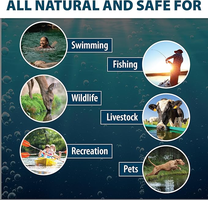 Airmax Nature's Blue Pond Dye 4X Concentrate for Outdoor Ponds & Lakes, Natural Pond Colorant & Beauty Enhancer, Block Ultraviolet Rays, Fish, Bird & Livestock Safe, Easy Liquid Application, 1 Quart