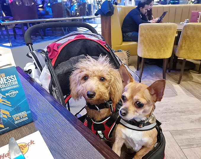 ROODO Escort 3 Wheel Dog Cat Pet Stroller for Small/Medium Dogs Cats Best Lightweight Foldable Portable Compact Jogger Travel All Terrain Pet Gear System Puppy Doggie Bunny Kitty Stroller(Black)