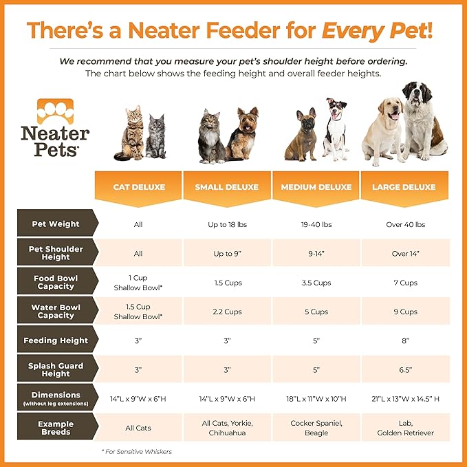 Neater Pet Brands Neater Feeder Deluxe Mess Proof Dog Bowls Elevated for Small Dogs Under 19 lbs, Made in USA, No Spill Raised Dog Food Bowl Stand Feeding Station, Food and Water Bowl Set, Grey