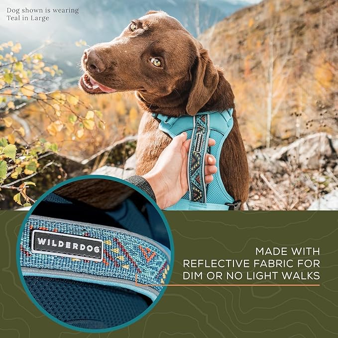Wilderdog Lightweight Dog Harness with Reflective Straps - Small - Pacific Blue