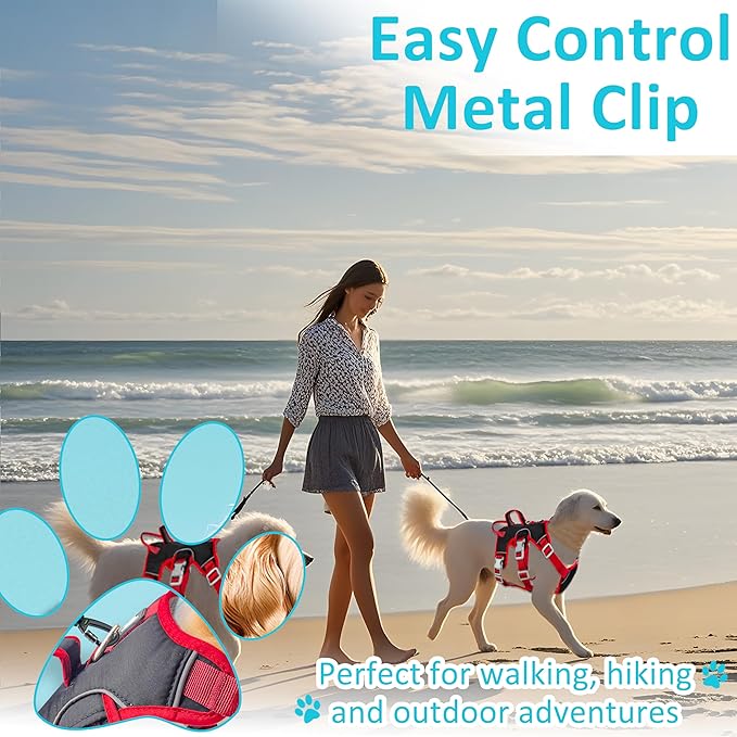 Escape Proof Dog Harness, No Pull Reflective Adjustable Vest with Easy Control Lift Handle, No Choke Soft Padded Breathable Full Body Pet Harness for Walking Hiking and Training (Red, Small)